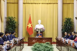 Presidente vietnamita se reúne con jóvenes parlamentarios japoneses 
