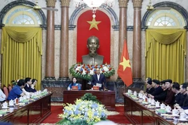 Presidente vietnamita defiende mayor atención del Estado a los asuntos étnicos