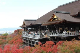 Número de turistas vietnamitas en Japón aumenta de manera impresionante