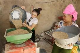 Promueven derechos humanos en ámbito laboral, social y de igualdad de género en Vietnam