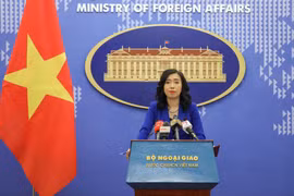 Vietnam implementa medidas para protección de ciudadanos vietnamitas en el extranjero, afirma portavoz