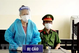 Condenan a seis años de prisión a responsable de subversión contra el Estado vietnamita