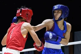Vietnam gana dos oros en Torneo Internacional Abierto de Boxeo de Tailandia