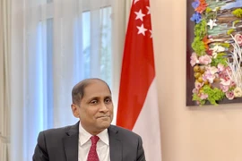 Vietnam, punto brillante de crecimiento económico en la región, según embajador singapurense