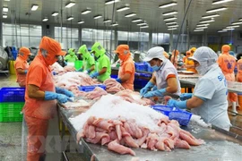 En alza exportaciones vietnamitas de pescado Tra a Estados Unidos