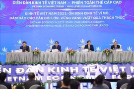 Primer ministro preside V Foro Económico de Vietnam 