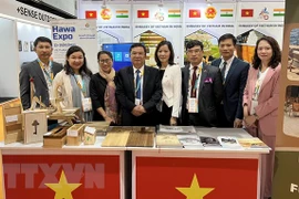 Promueven productos vietnamitas en la India 