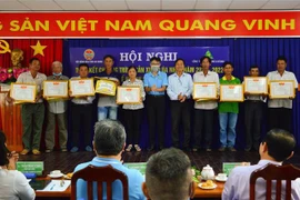 Extienden cultivo de arroz japónica en Vietnam para exportación a Europa
