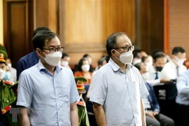 Sentencia a 10 años de cárcel a exdirigente de Ciudad Ho Chi Minh