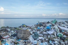 Vietnam fortalece cooperación internacional para reducir desechos marinos