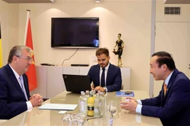 Vietnam y la Comunidad belga francófona fortalecen cooperación 