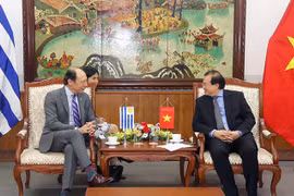 Vietnam desea fomentar cooperación con Uruguay en cultura, deportes y turismo