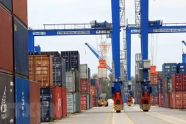 Ciudad de Hai Phong ofrece servicio gratis de almacenamiento de contenedores en puerto local