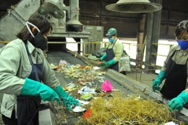 Promueven papel de comunidad residencial y empresarial en protección ambiental en Vietnam