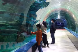 Turismo en Hanoi muestra señales de recuperación