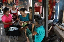 Debaten medidas para mejorar atención de salud materna e infantil en Vietnam