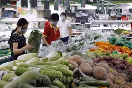 Ministro vietnamita propone medidas para facilitar circulación de mercancías y productos agrícolas
