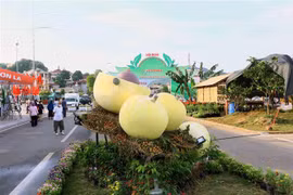 Primer ministro de Vietnam asiste al festival de especialidades locales
