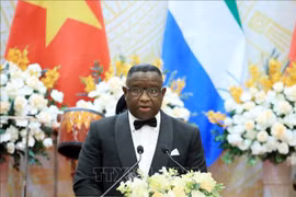 Presidente de Sierra Leona concluye visita oficial a Vietnam
