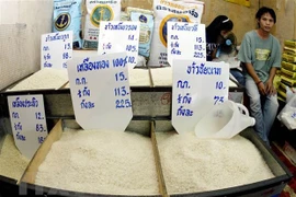 Prevén aumento de precio de arroz tailandés en segundo trimestre de 2022