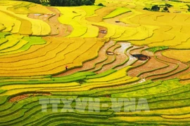 Vote por el turismo de Vietnam en Premio Mundial de Viajes 2022 