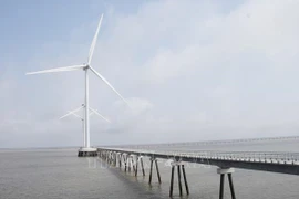 Buscan promover desarrollo de energía eólica marina en Vietnam