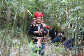 Resaltan identidad cultural de los Yao entre comunidades étnicas de Vietnam
