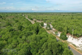 Bosques cubren el 42,02% de superficie total de Vietnam
