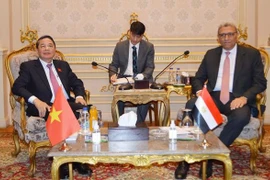 Vicepresidente parlamentario vietnamita realiza visita a Egipto