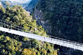 Puente de cristal Bach Long, nuevo destino turístico en provincia vietnamita 
