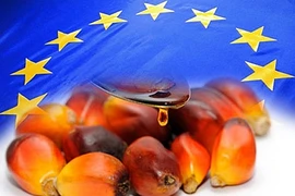 ASEAN y UE promueven cooperación en industria de aceite de palma