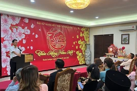 Programa Primavera en la tierra natal conecta a vietnamitas en ultramar