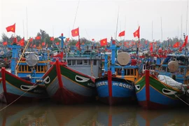 Provincia vietnamita promueve cambio en conciencia para luchar contra la pesca ilegal