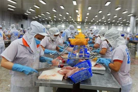 Estados Unidos mantiene tasa del impuesto antidumping para pescados vietnamitas
