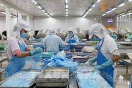 Provincia de An Giang apunta a 5,3 mil millones de dólares en exportaciones en 2025