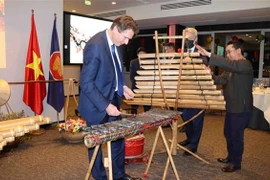 Vietnamitas de Bélgica y Luxemburgo contribuyen a fortalecer nexos entre Vietnam y la UE