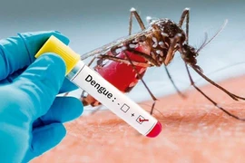 Laos refuerza medidas contra dengue 