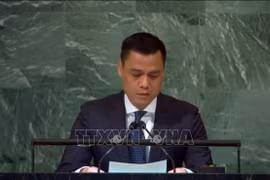 Vietnam pide reforma del Consejo de Seguridad de ONU
