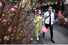 Hanoi abrirá cientos de mercados de flores durante el Año Nuevo Lunar