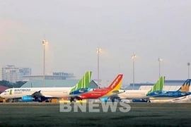 Encabeza Bamboo Airways índice de puntualidad en vuelos en noviembre