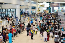 Volumen de pasajeros aéreos en Vietnam se dispara de enero a noviembre 