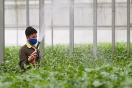 Día Mundial de la Alimentación: Construir un sistema alimentario sostenible