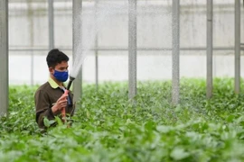 Día Mundial de la Alimentación: Construir un sistema alimentario sostenible