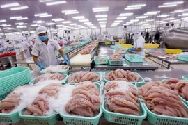 Ciudad vietnamita de Can Tho reporta crecimiento económico más alto en tres años