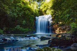 Descubren reserva mundial de biosfera en provincia altiplánica vietnamita 