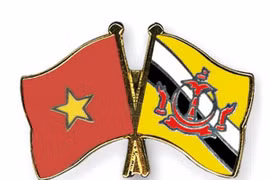  Jefe de Estado Mayor general del Ejército Popular de Vietnam visita Brunéi