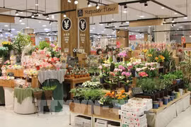 Oportunidad para las mercancías vietnamitas al mundo desde el mercado japonés
