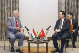 Presidente del Parlamento vietnamita recibe a dirigentes de Asociación de Amistad Hungría-Vietnam 
