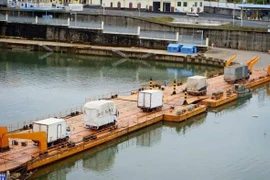 Exportan lichi vietnamita por primera vez a través de puerta fronteriza de Mong Cai