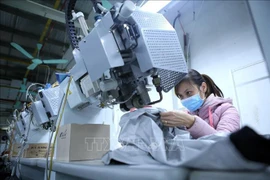 Aplicarán reglas específicas en virtud del TLC entre Vietnam y Corea del Sur